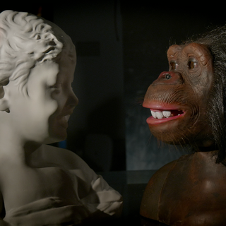 Affective Robots - Smiles #2 - Collezione privata